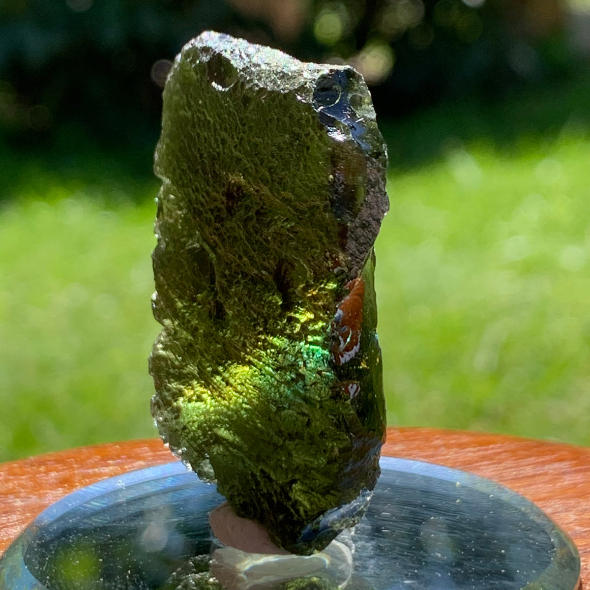 Moldavite Genuine Certified Czech Republic 17.1 grams-Moldavite Life