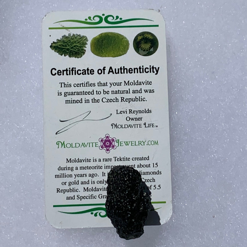 Moldavite Genuine Certified Czech Republic 10.1 grams-Moldavite Life