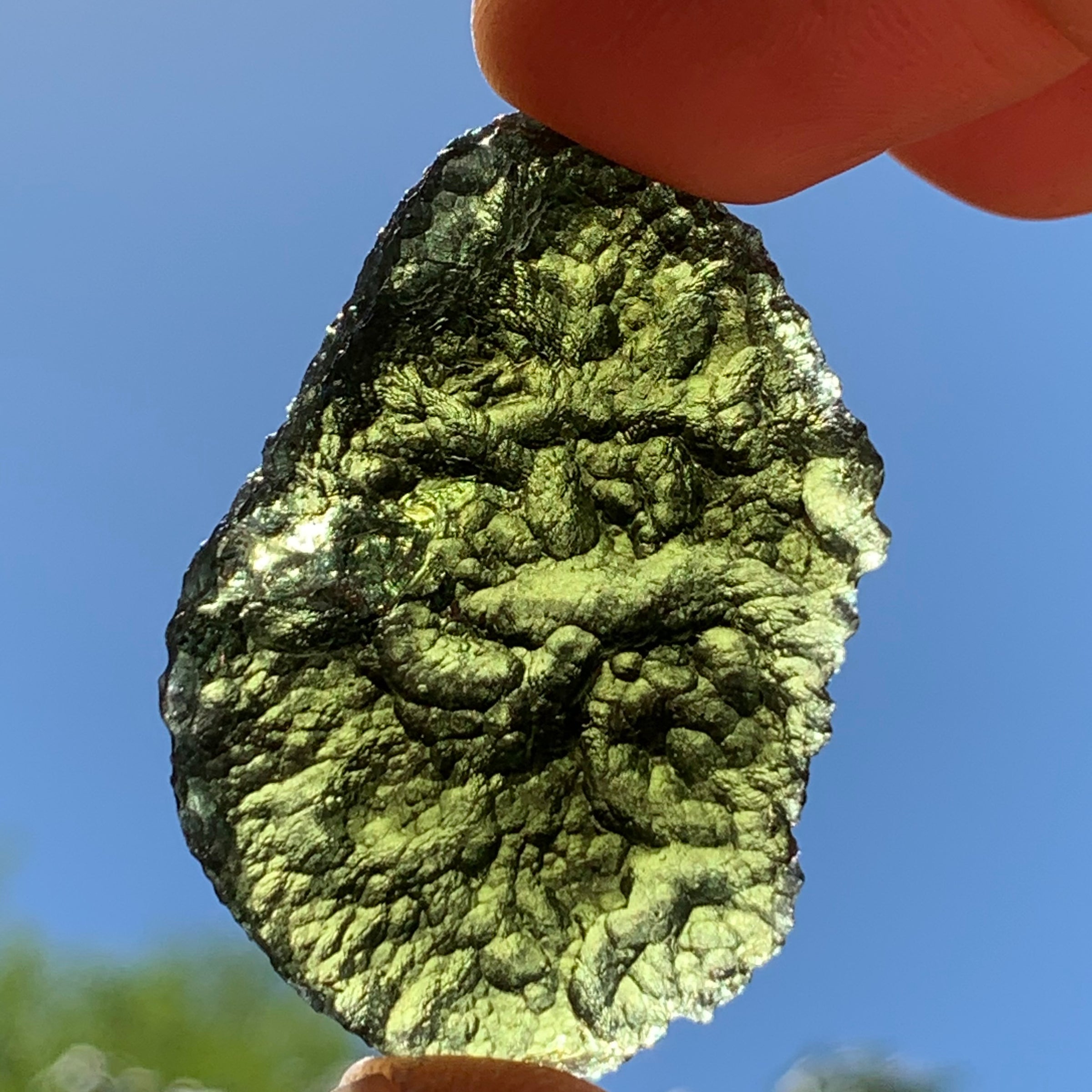 Moldavite Genuine Certified Czech Republic 18.3 grams-Moldavite Life