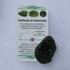 Moldavite Genuine Certified Czech Republic 18.3 grams-Moldavite Life