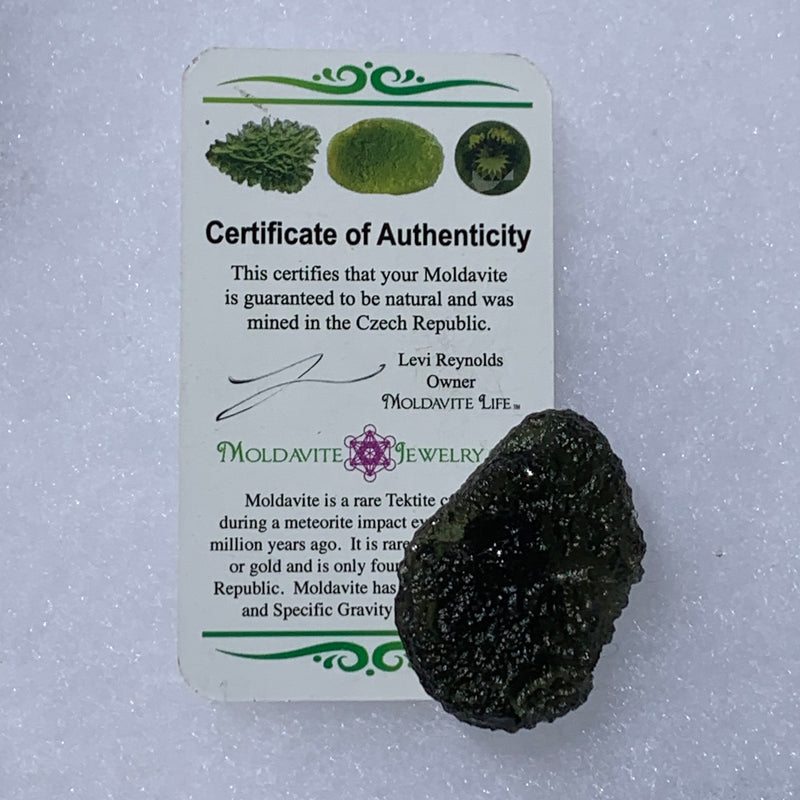 Moldavite Genuine Certified Czech Republic 18.3 grams-Moldavite Life