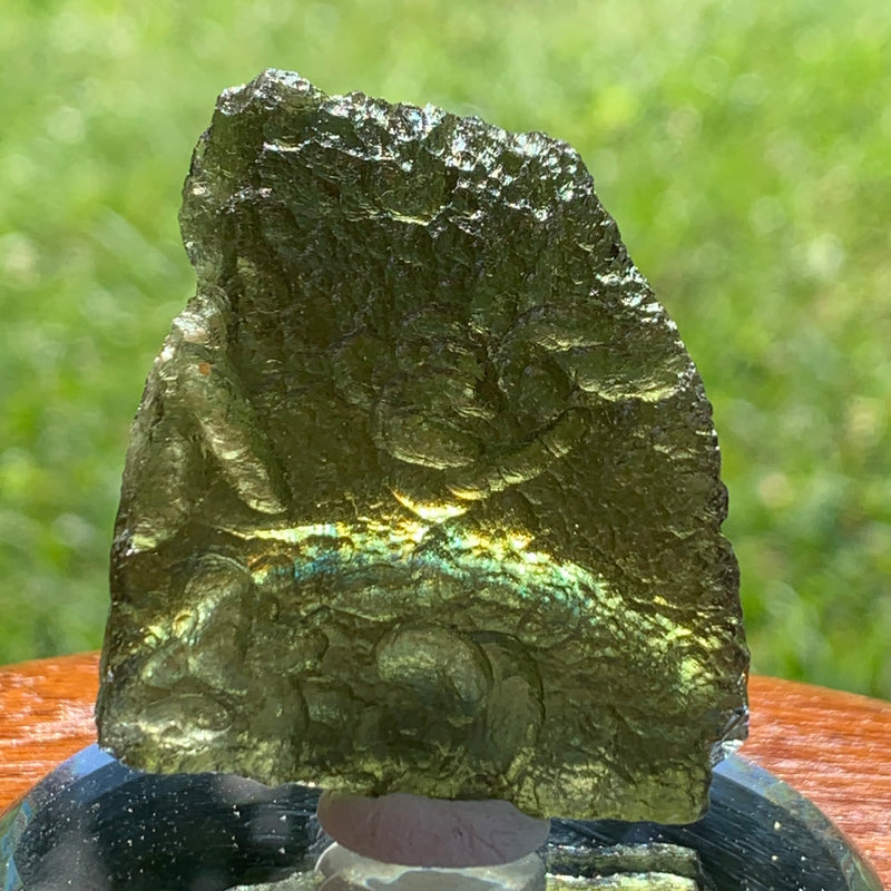 Moldavite Genuine Certified Czech Republic 16 grams-Moldavite Life