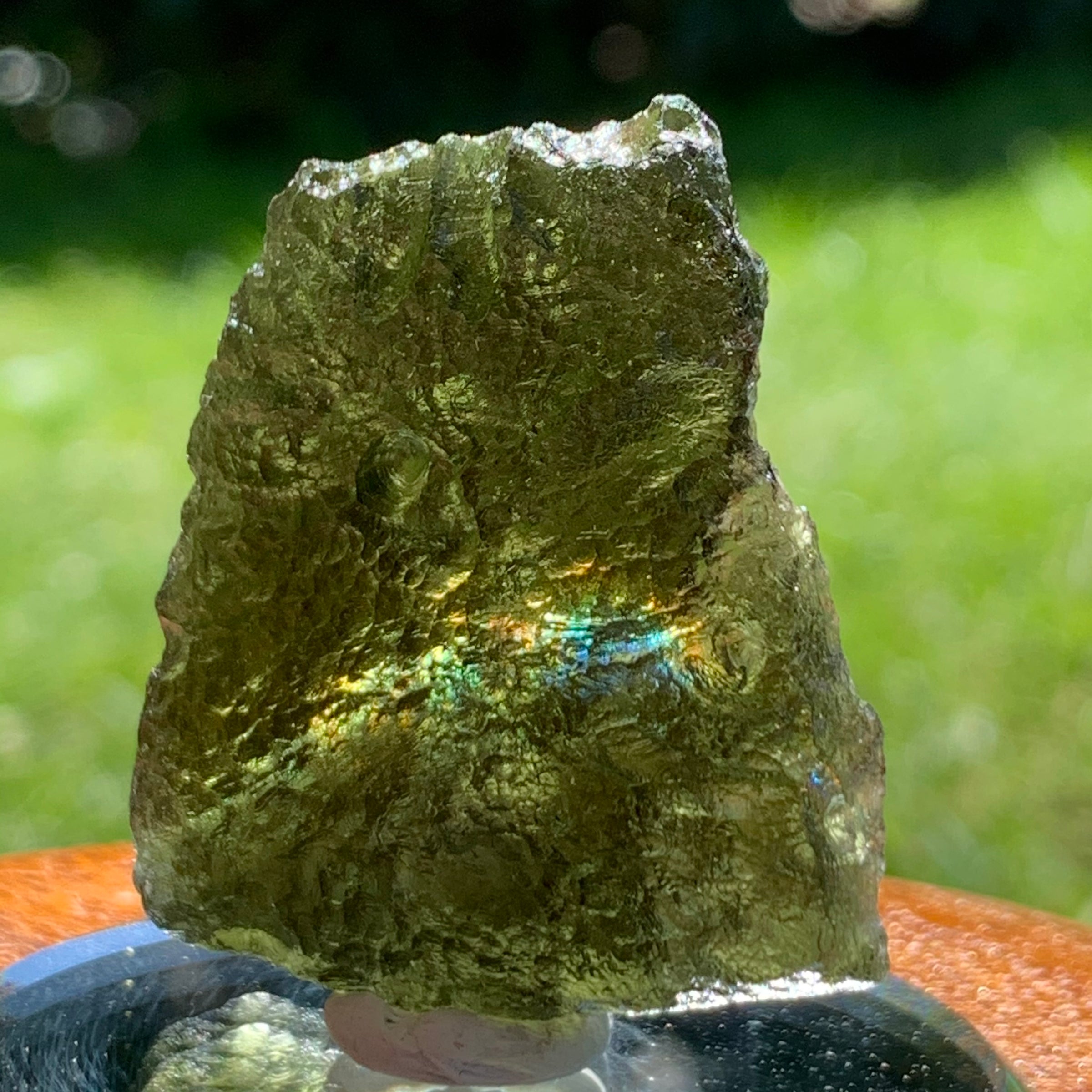 Moldavite Genuine Certified Czech Republic 16 grams-Moldavite Life