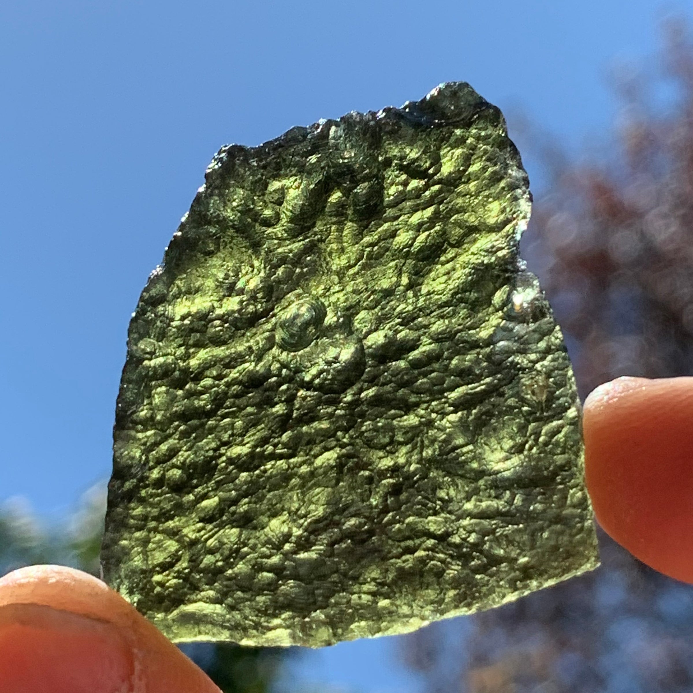 Moldavite Genuine Certified Czech Republic 16 grams-Moldavite Life