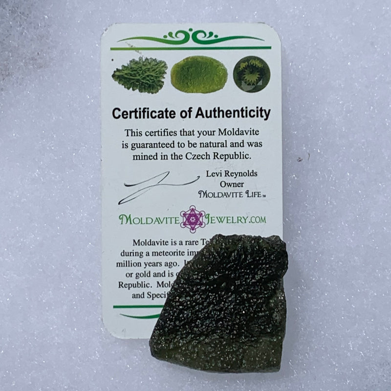 Moldavite Genuine Certified Czech Republic 16 grams-Moldavite Life