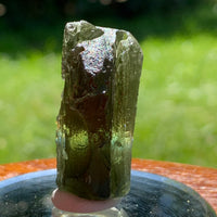 Moldavite Genuine Certified Czech Republic 12.5 grams-Moldavite Life