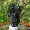 Moldavite Genuine Certified Czech Republic 12.5 grams-Moldavite Life