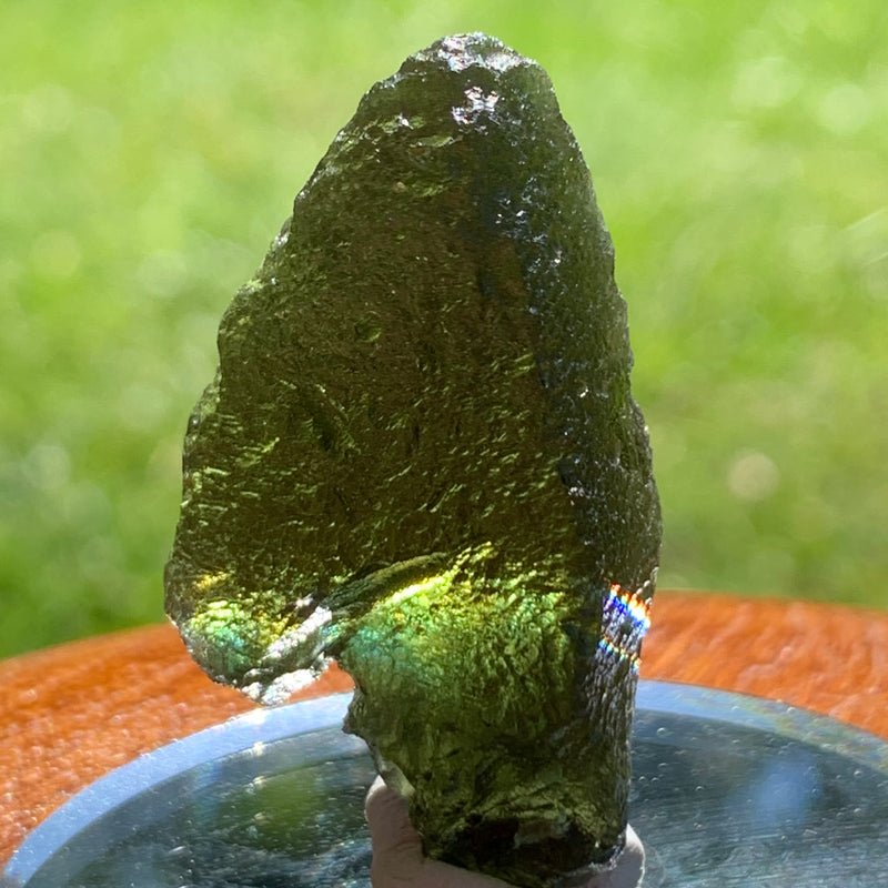 Moldavite Genuine Certified Czech Republic 10.5 grams-Moldavite Life