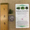 Besednice Moldavite 1.1 gram