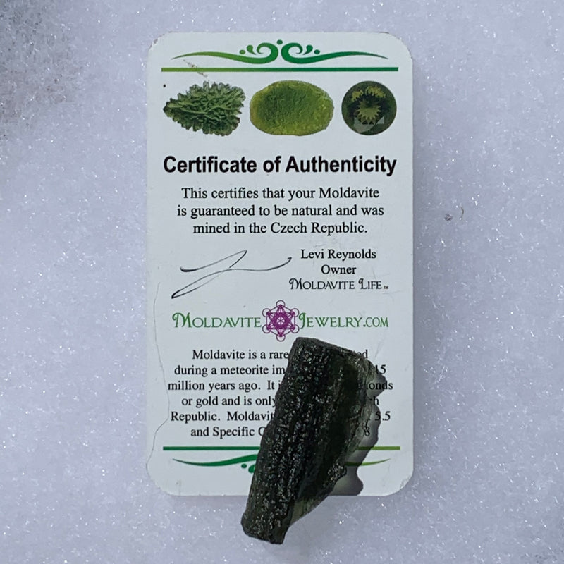 Moldavite Genuine Certified Czech Republic 8.8 grams-Moldavite Life