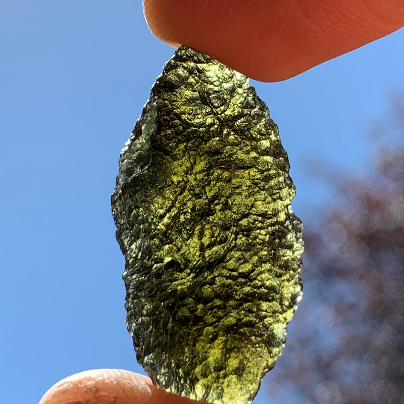 Moldavite Genuine Certified Czech Republic 7.4 grams-Moldavite Life