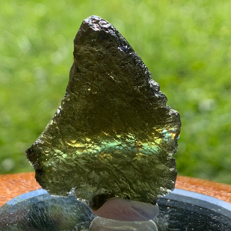 Moldavite Genuine Certified Czech Republic 8.5 grams-Moldavite Life