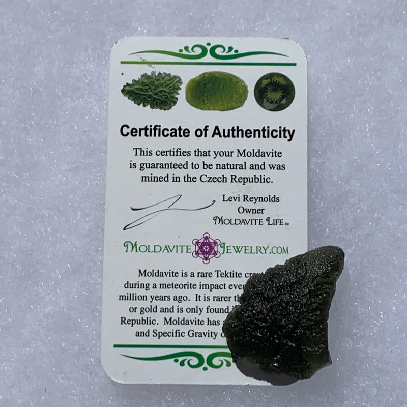 Moldavite Genuine Certified Czech Republic 8.5 grams-Moldavite Life