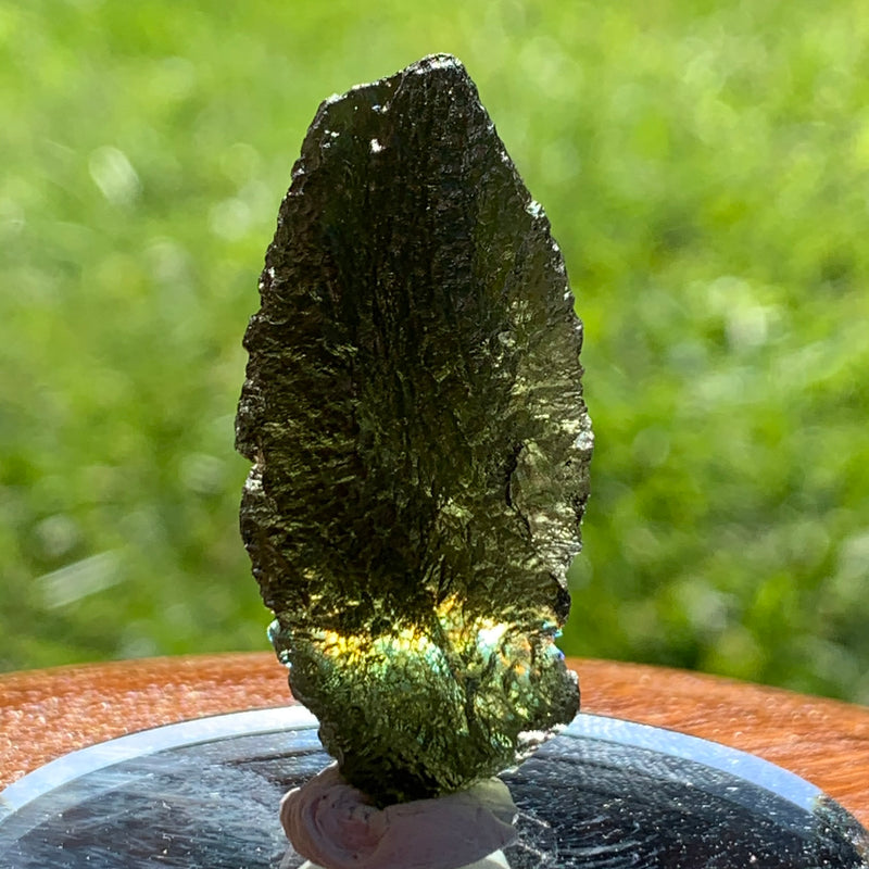 Moldavite Genuine Certified Czech Republic 8.1 grams-Moldavite Life