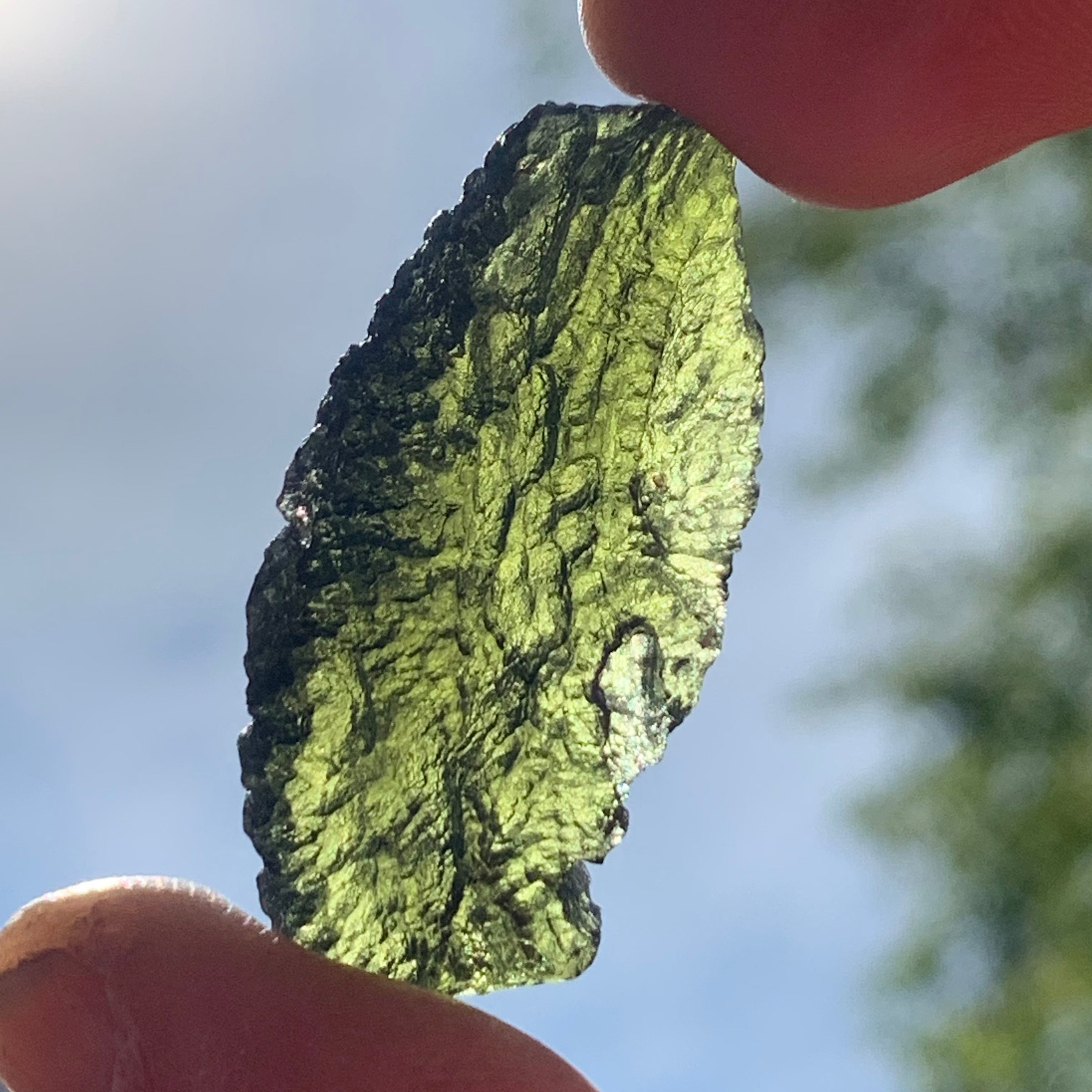 Moldavite Genuine Certified Czech Republic 8.1 grams-Moldavite Life