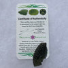 Moldavite Genuine Certified Czech Republic 8.1 grams-Moldavite Life