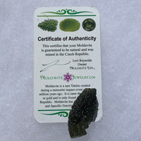 Moldavite Genuine Certified Czech Republic 8.1 grams-Moldavite Life