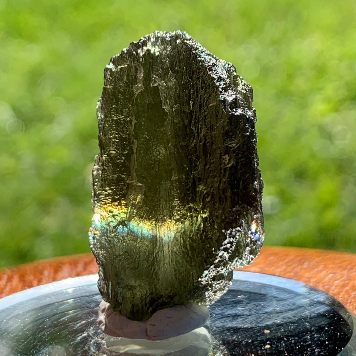 Moldavite Genuine Certified Czech Republic 8.7 grams-Moldavite Life