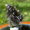 Moldavite Genuine Certified Czech Republic 7.4 grams-Moldavite Life