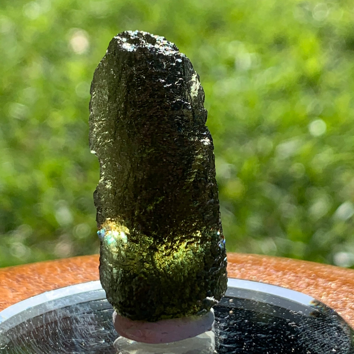 Moldavite Genuine Certified Czech Republic 9.8 grams-Moldavite Life