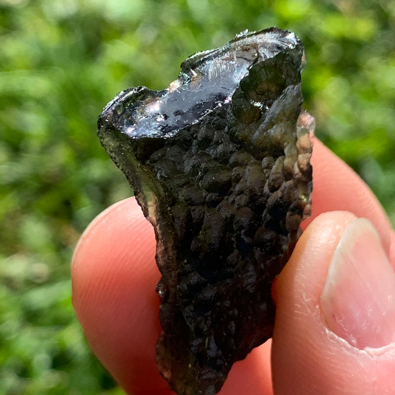 Moldavite Genuine Certified Czech Republic 7.6 grams-Moldavite Life