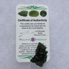 Moldavite Genuine Certified Czech Republic 7.6 grams-Moldavite Life