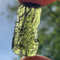 Moldavite Genuine Certified Czech Republic 7.3 grams-Moldavite Life