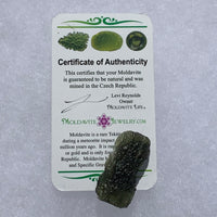 Moldavite Genuine Certified Czech Republic 7.3 grams-Moldavite Life