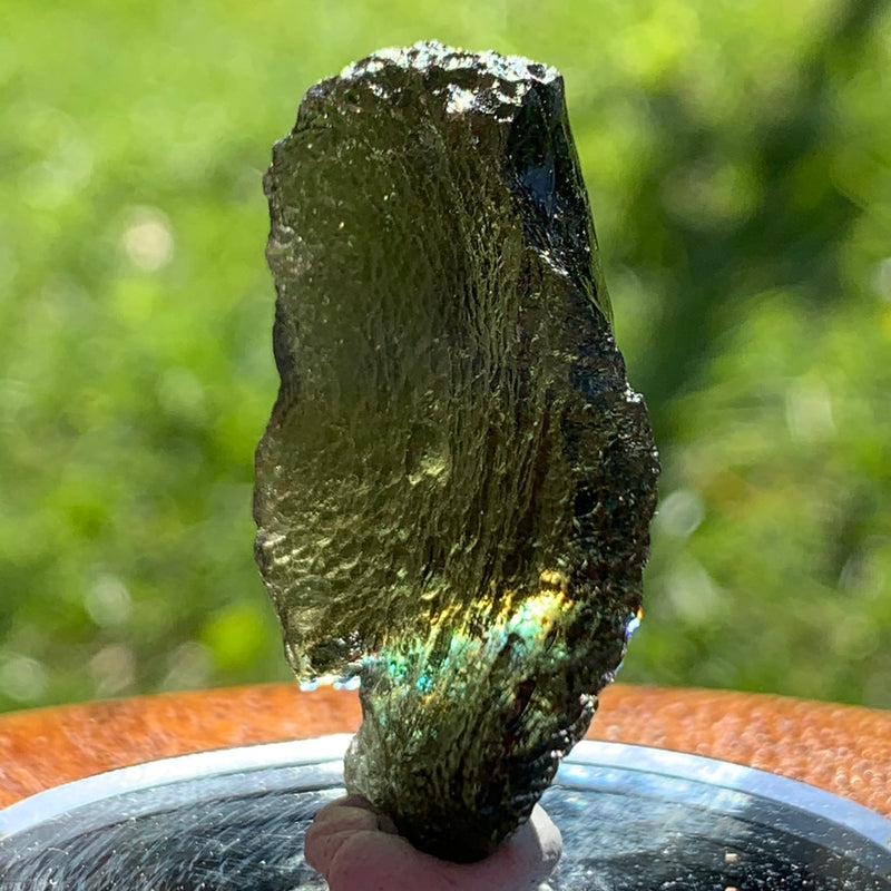 Moldavite Genuine Certified Czech Republic 8.3 grams-Moldavite Life