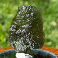 Moldavite Genuine Certified Czech Republic 8.3 grams-Moldavite Life