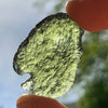 Moldavite Genuine Certified Czech Republic 8.3 grams-Moldavite Life