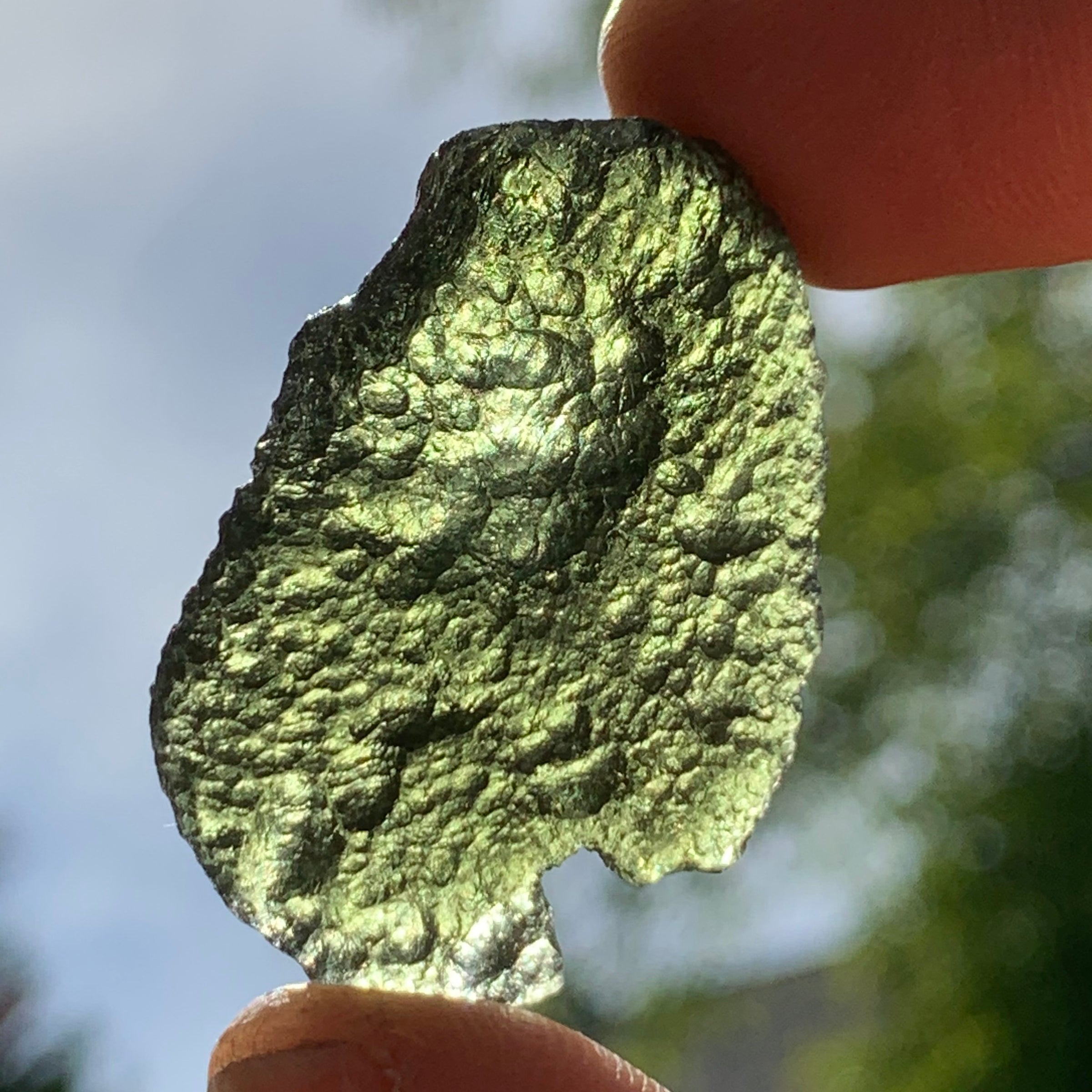 Moldavite Genuine Certified Czech Republic 8.3 grams-Moldavite Life