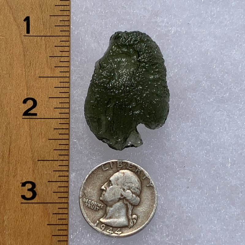 Moldavite Genuine Certified Czech Republic 8.3 grams-Moldavite Life