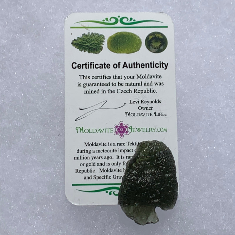 Moldavite Genuine Certified Czech Republic 8.3 grams-Moldavite Life