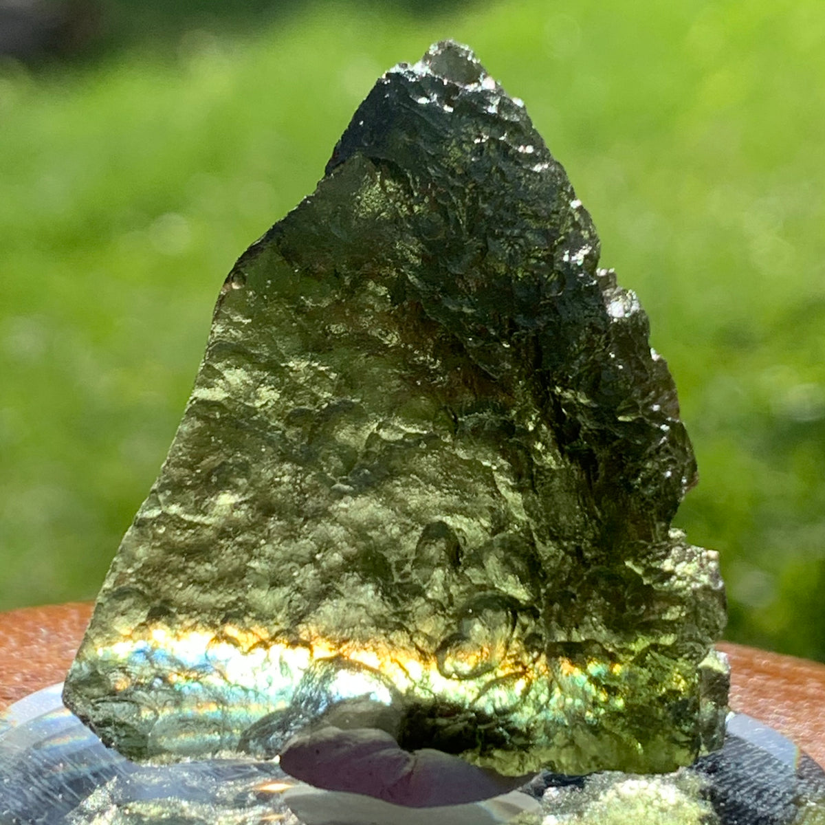 Moldavite Genuine Certified Czech Republic 10 grams-Moldavite Life