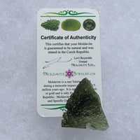 Moldavite Genuine Certified Czech Republic 10 grams-Moldavite Life