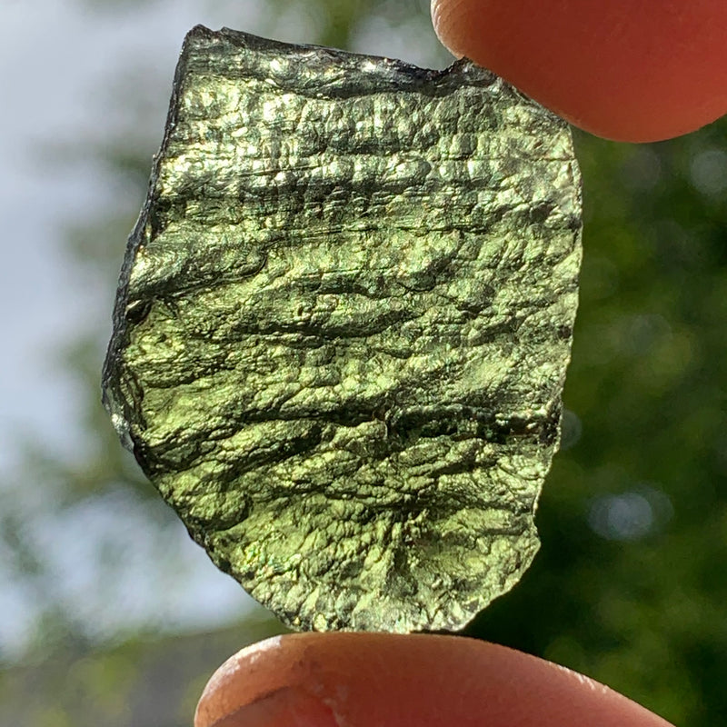 Moldavite Genuine Certified Czech Republic 7.7 grams-Moldavite Life