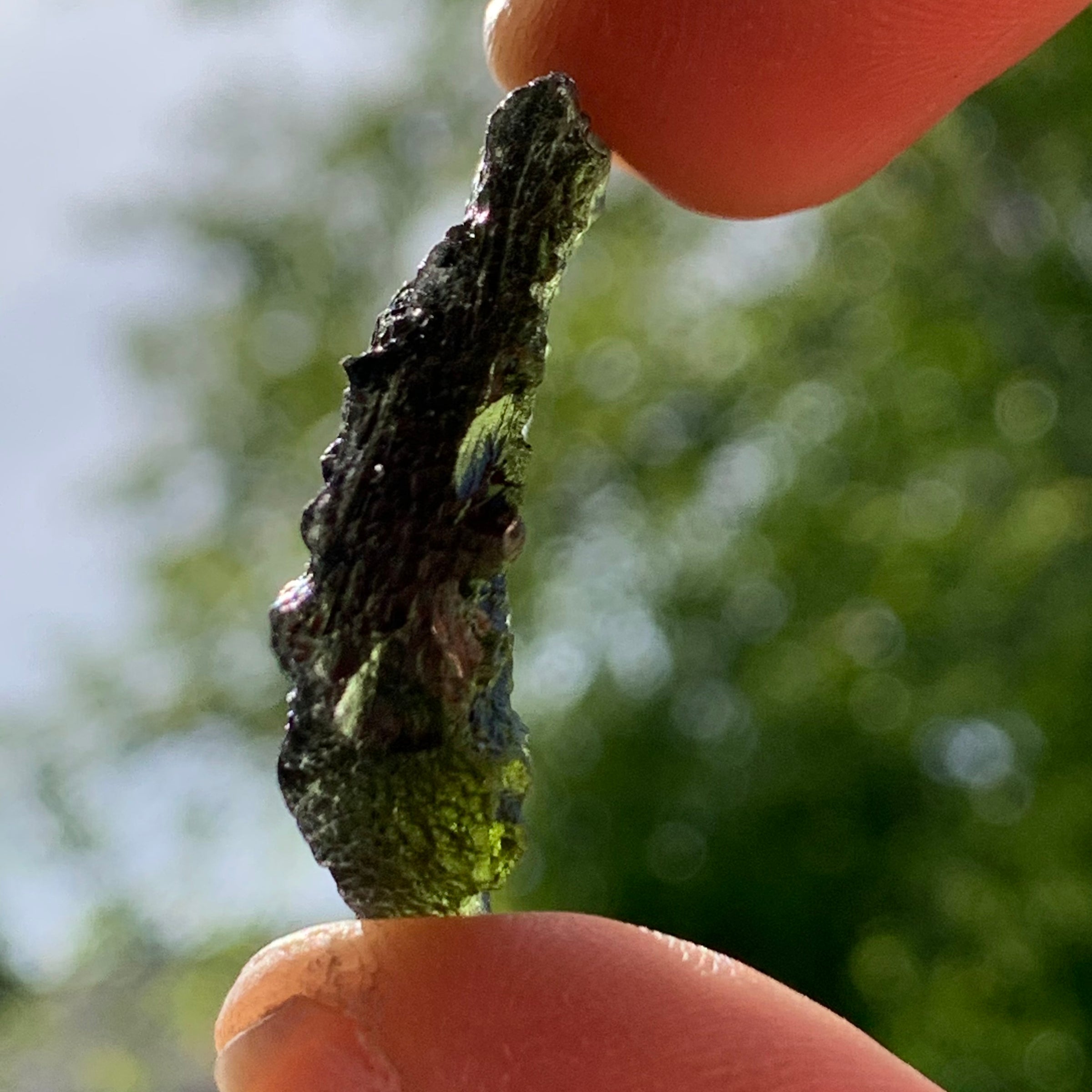 Moldavite Genuine Certified Czech Republic 7.7 grams-Moldavite Life