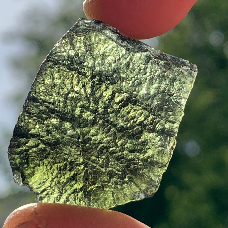 Moldavite Genuine Certified Czech Republic 7.7 grams-Moldavite Life