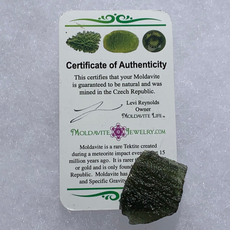 Moldavite Genuine Certified Czech Republic 7.7 grams-Moldavite Life