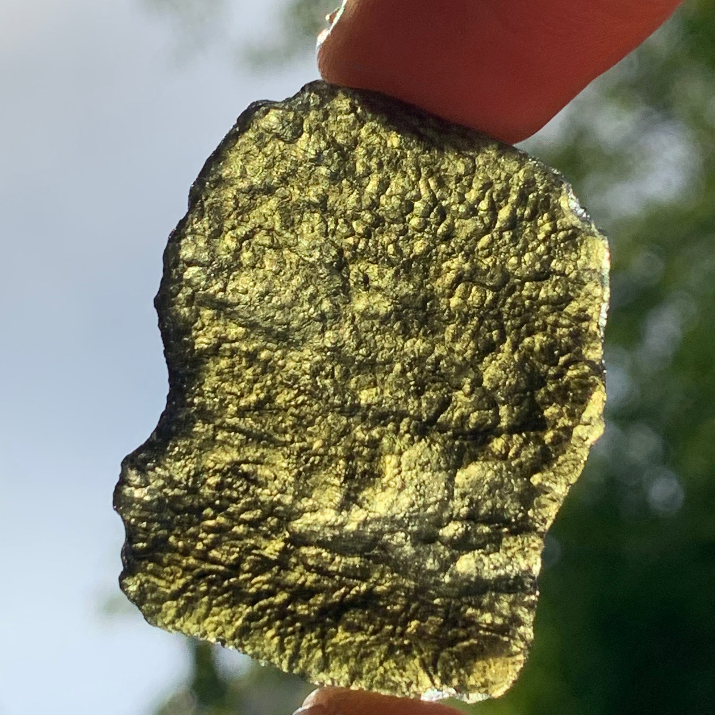 Moldavite Genuine Certified Czech Republic 8.7 grams-Moldavite Life