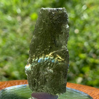 Moldavite Genuine Certified Czech Republic 8 grams-Moldavite Life