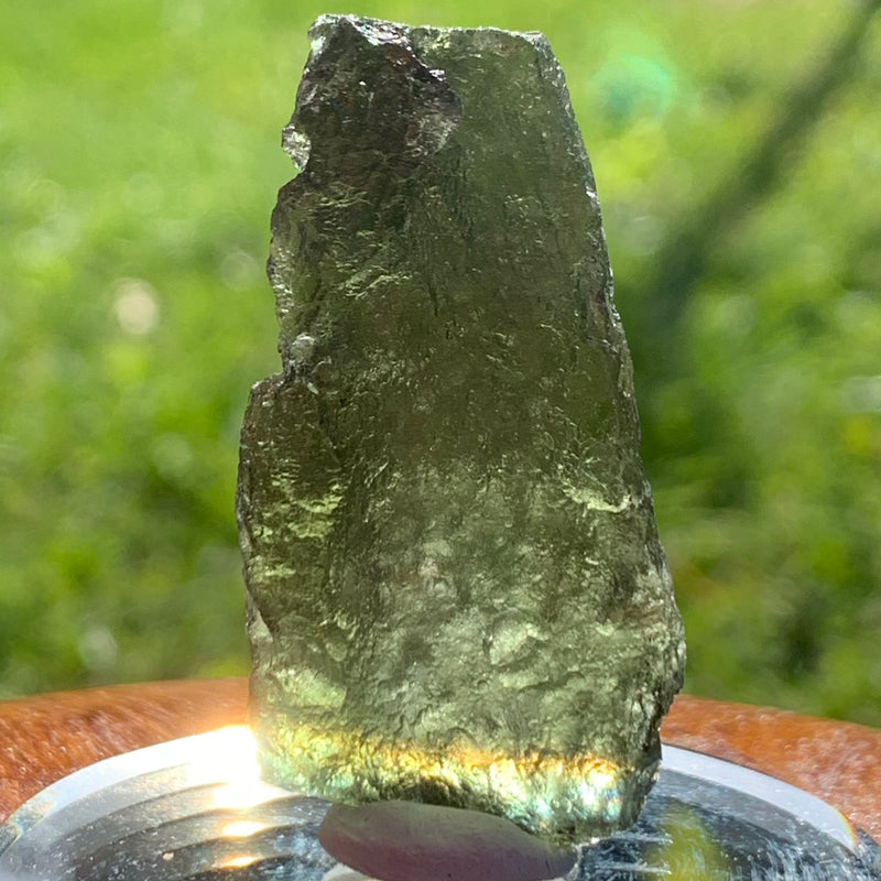 Moldavite Genuine Certified Czech Republic 8 grams-Moldavite Life