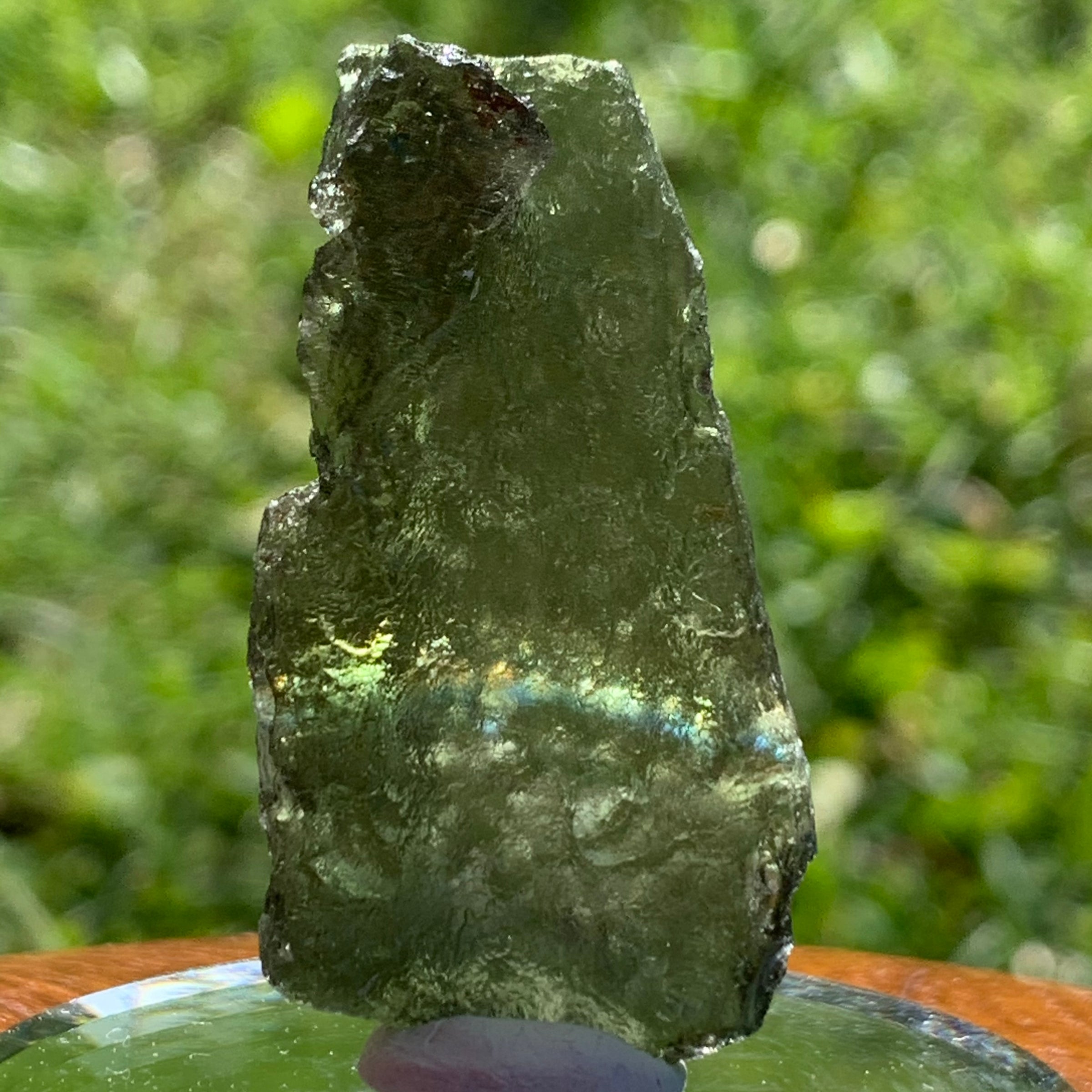 Moldavite Genuine Certified Czech Republic 8 grams-Moldavite Life