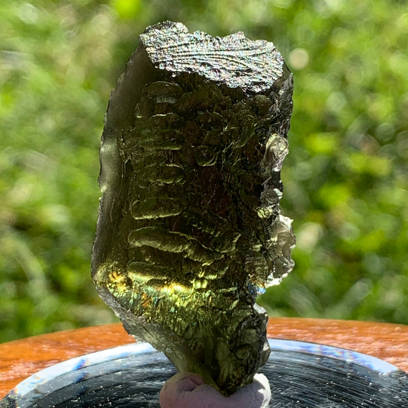 Moldavite Genuine Certified Czech Republic 10.8 grams-Moldavite Life