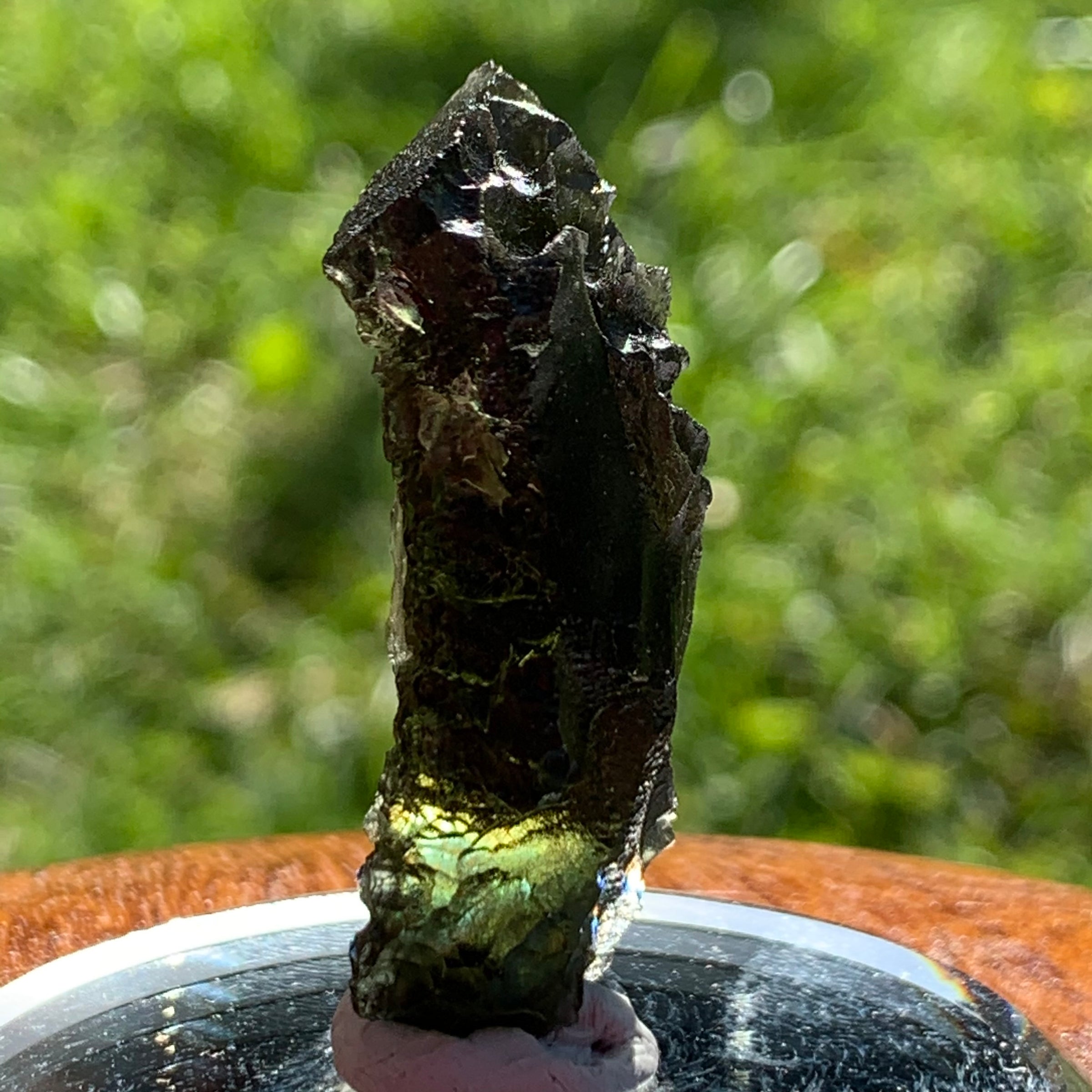 Moldavite Genuine Certified Czech Republic 10.8 grams-Moldavite Life