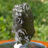 Moldavite Genuine Certified Czech Republic 10.8 grams-Moldavite Life