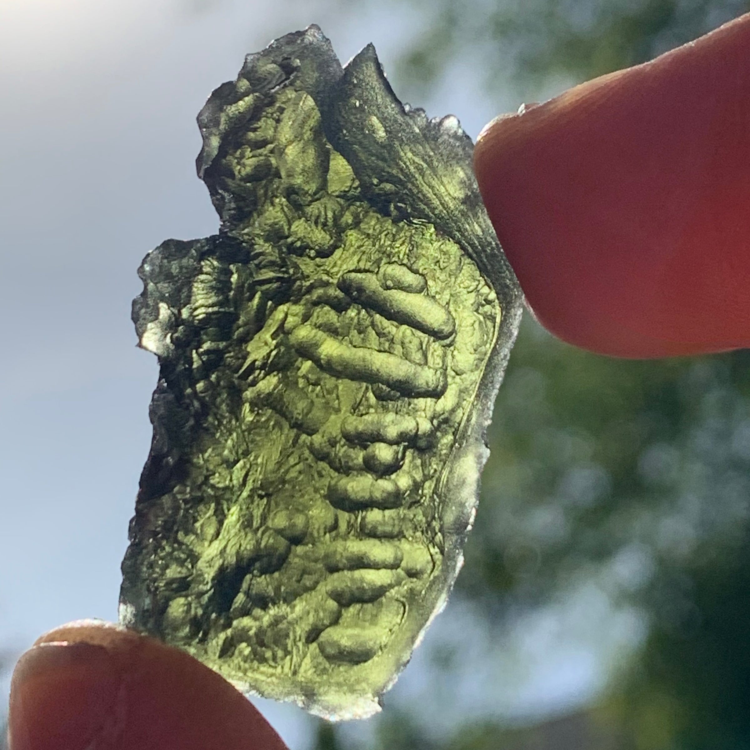 Moldavite Genuine Certified Czech Republic 10.8 grams-Moldavite Life