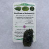 Moldavite Genuine Certified Czech Republic 10.8 grams-Moldavite Life