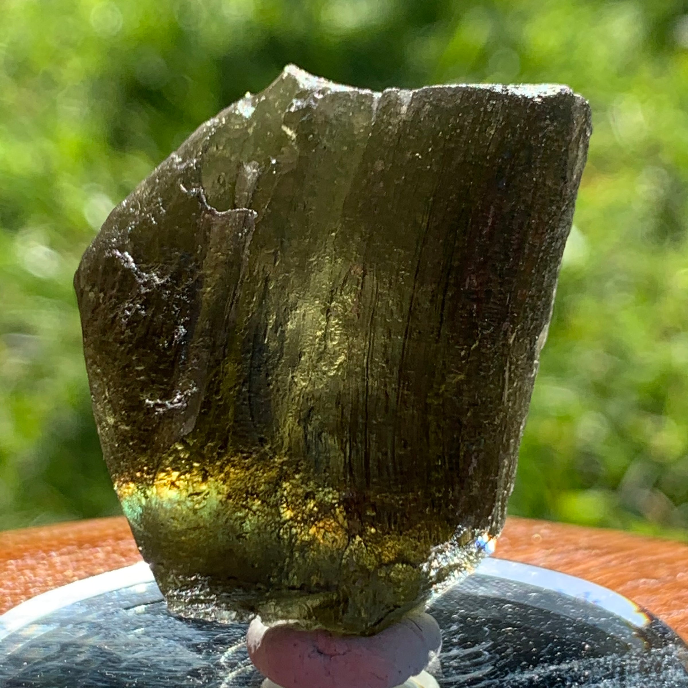 Moldavite Genuine Certified Czech Republic 14.9 grams-Moldavite Life